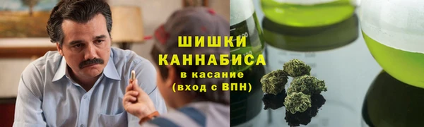 соль ск Вязьма