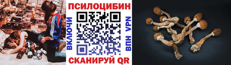 omg вход  Петрозаводск  Псилоцибиновые грибы MAGIC MUSHROOMS 